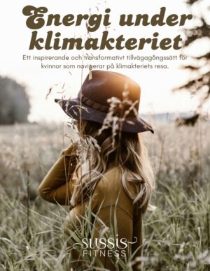 Energi under Klimakteriet