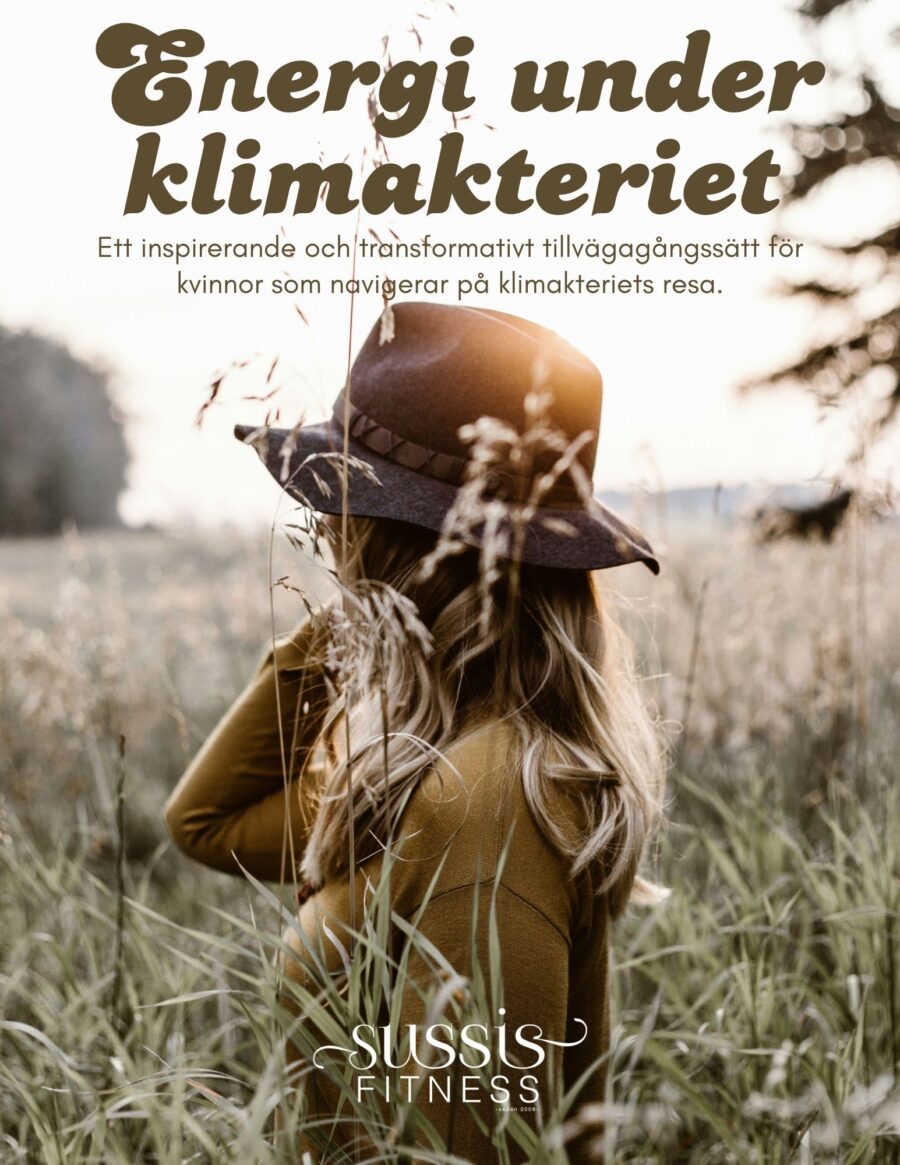 Energi under Klimakteriet